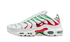 Nike Air Max Plus Italy