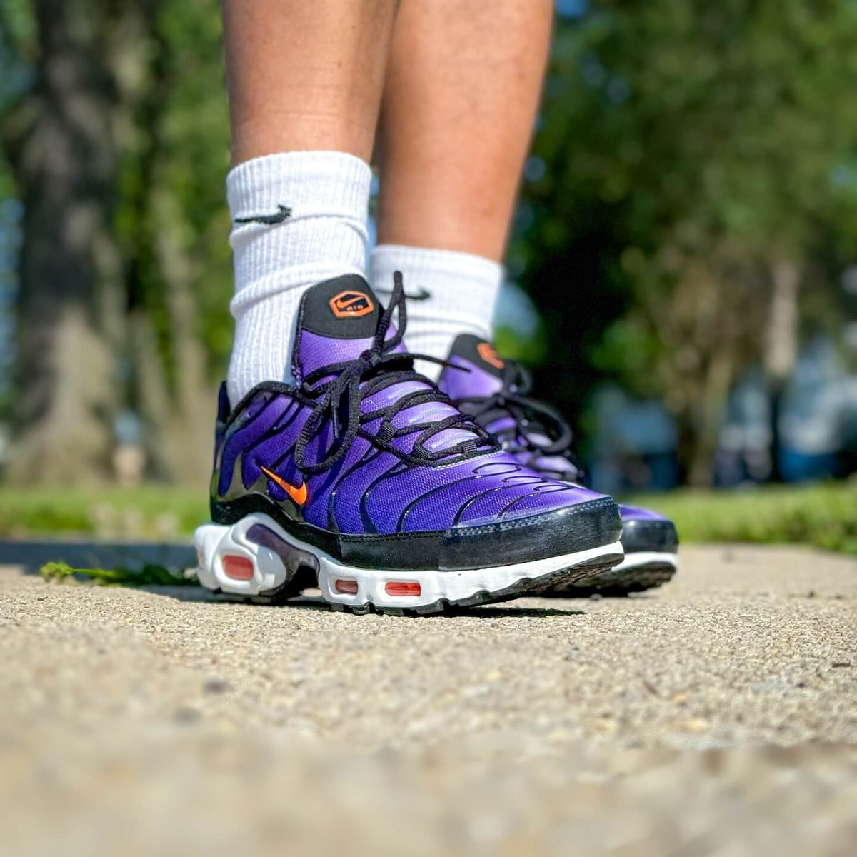 Nike Air Max Plus OG Voltage Purple (2024)