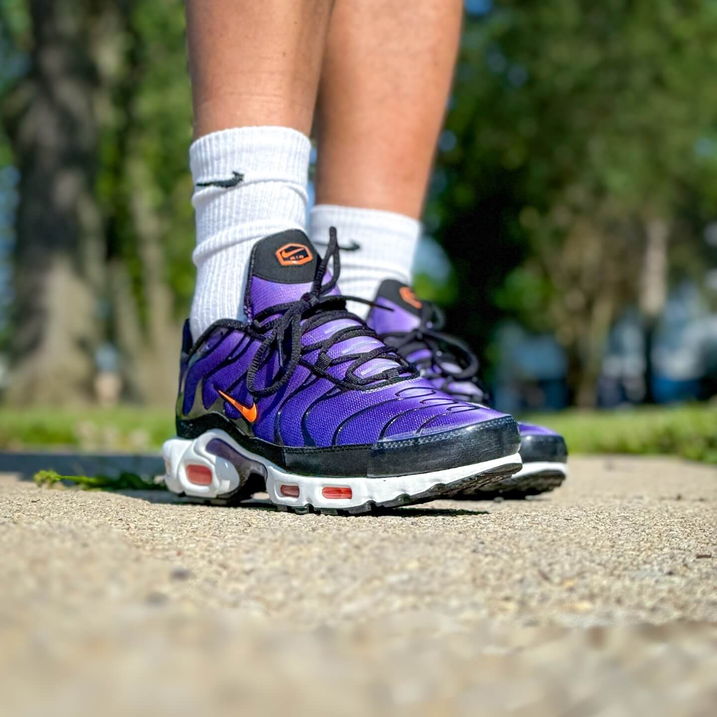 Nike Air Max Plus OG Voltage Purple (2024)