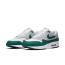 Nike Air Max 1 Anniversary Green (2020) DC1454-100 - Bovenaanzicht | Snrkickz