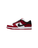 Nike SB Dunk Low Pro J-Pack Chicago