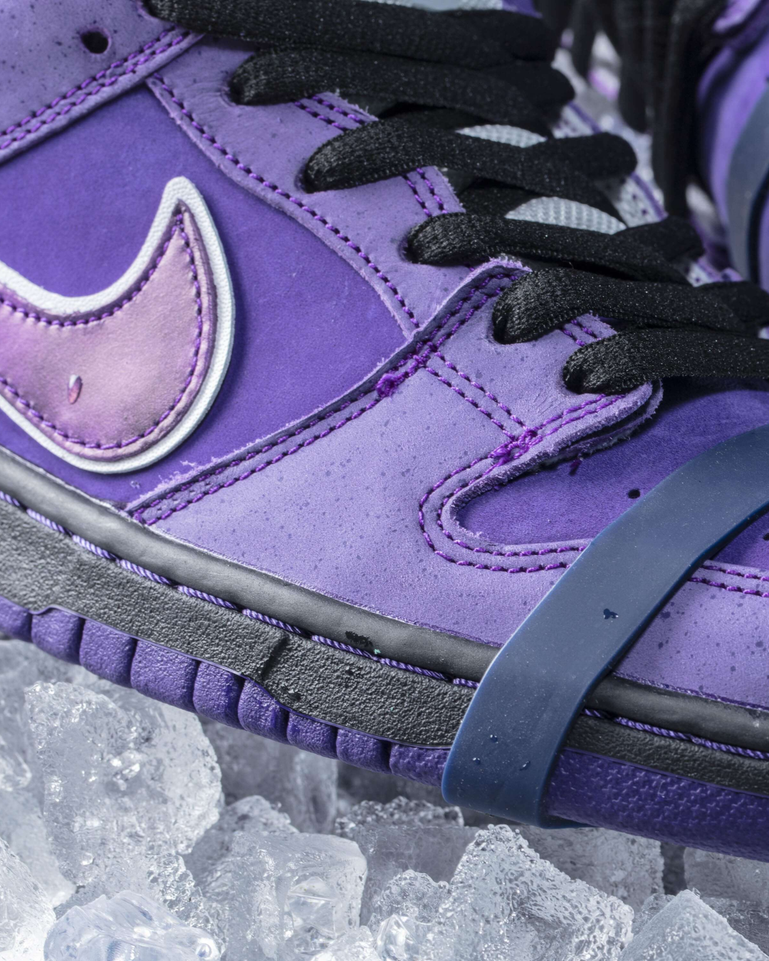 Nike SB Dunk Low Concepts Purple Lobster