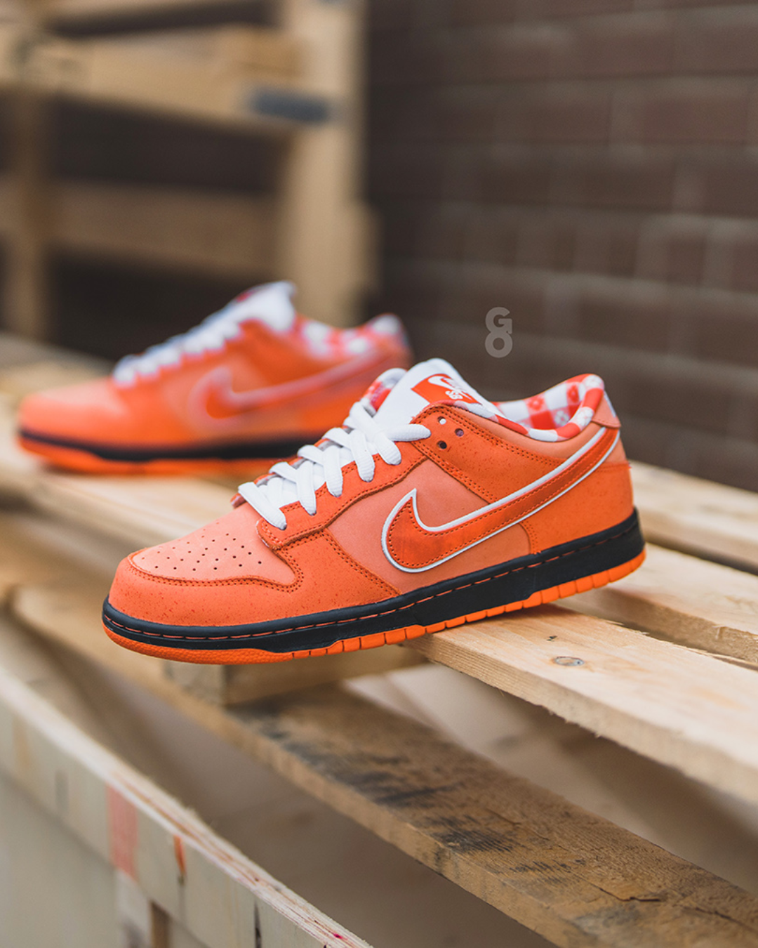 Nike SB Dunk Low Konzepte Orange Lobster