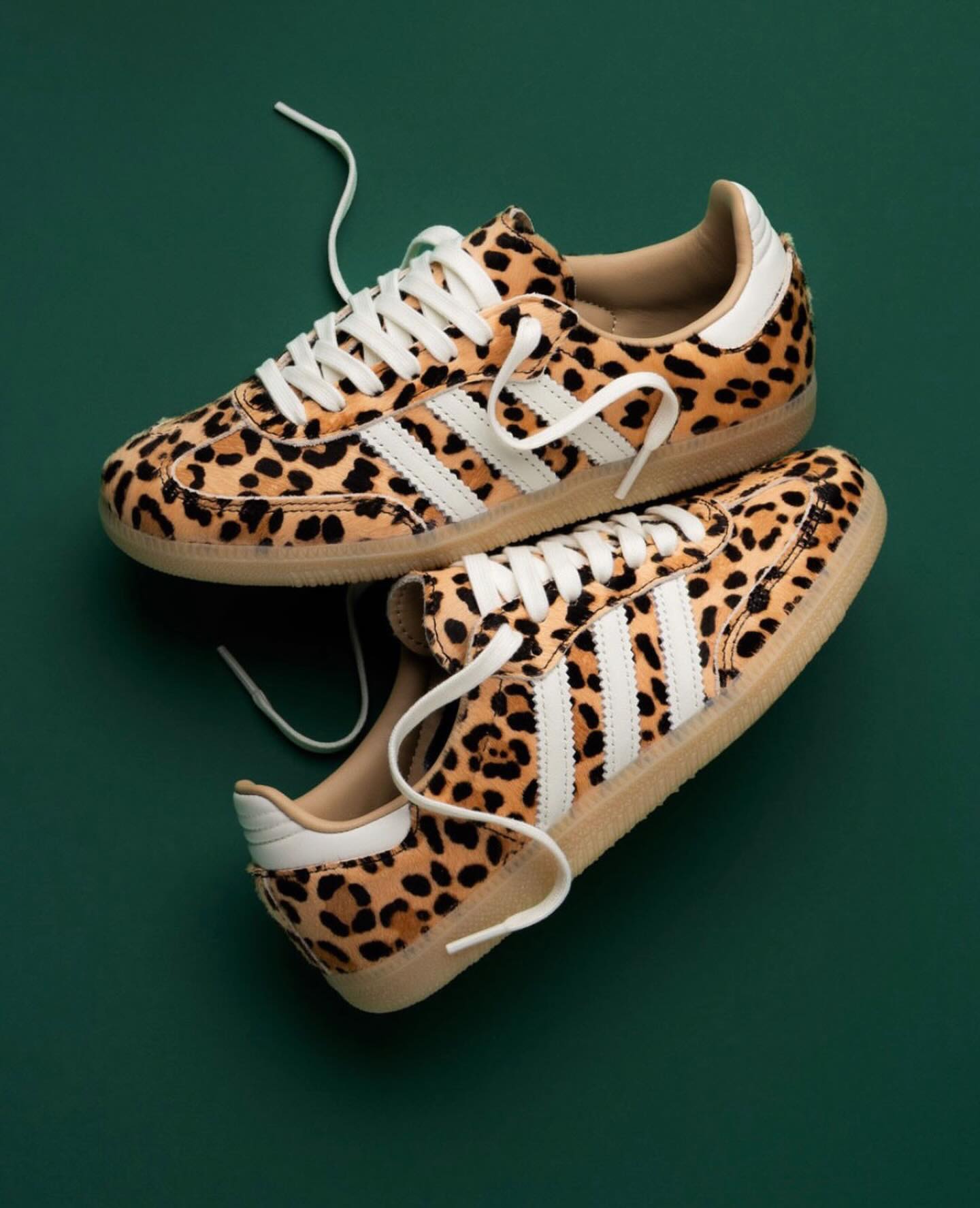 Adidas Samba OG Leopard Magic Beige - View 2 | Snrkickz