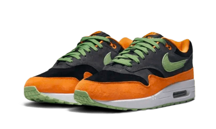 Nike Air Max 1 PRM Duck Anthracite