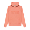 Fear of God Essentials FW22 Coral Hoodie
