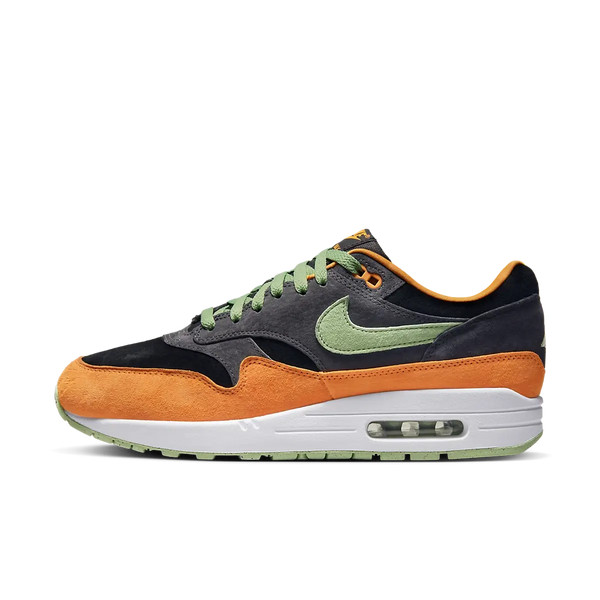 Nike Air Max 1 PRM Ente Anthrazit