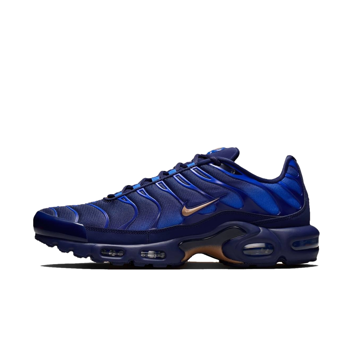 Nike Air Max Plus French Football Federation