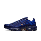 Nike Air Max Plus French Football Federation