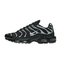 Nike Air Max Plus Spider Web (DD4004-001) | Snrkickz