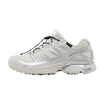 Salomon XT-Pathway GTX Lunar Rock Alloy