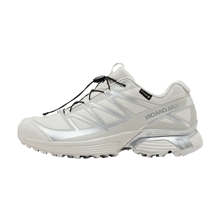 Salomon XT-Pathway GTX Lunar Rock Alloy (L47730900) | Snrkickz