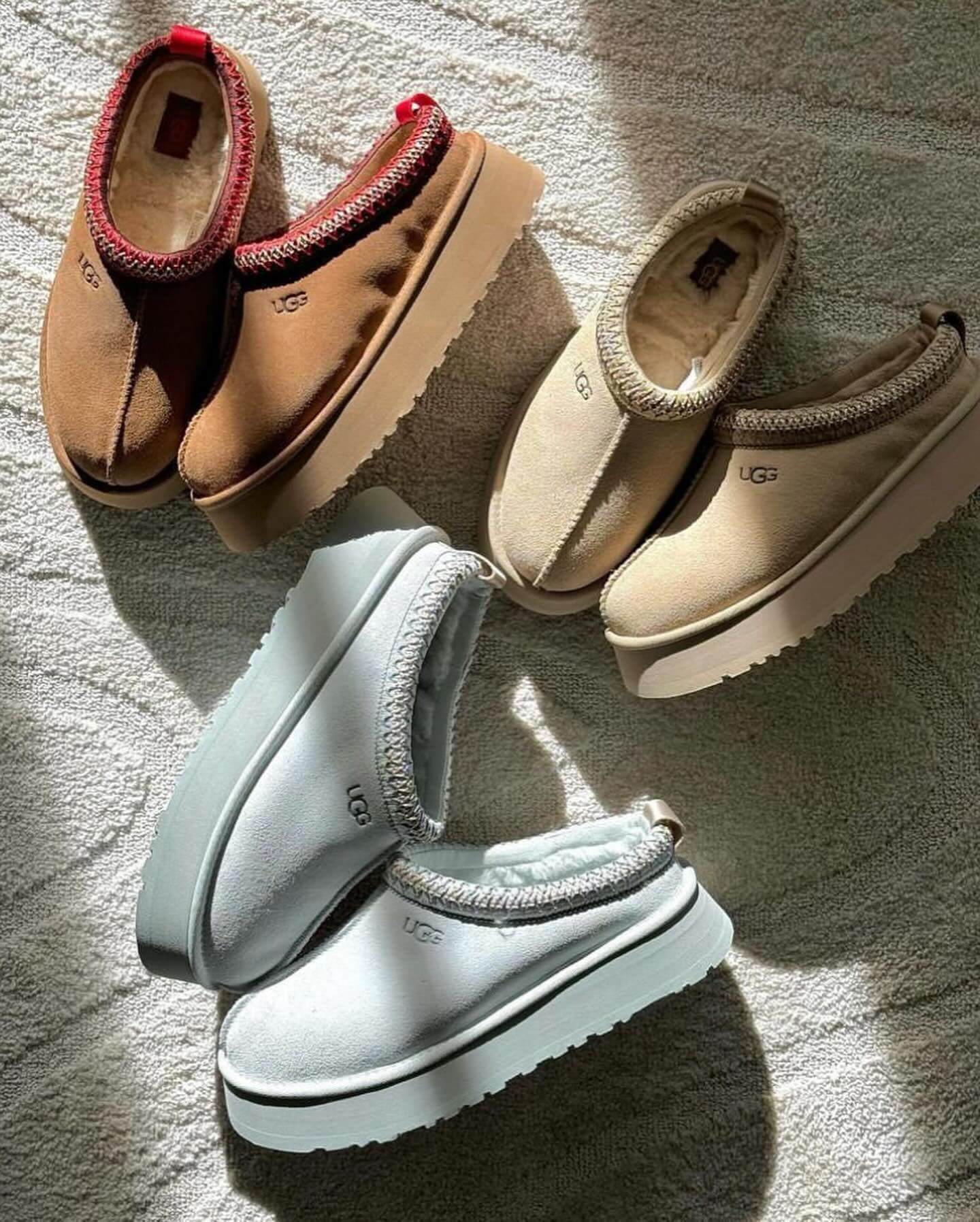 UGG Tazz Slipper Goose 1122553-GOO in lifestyle-setting samen met andere UGG Tazz kleuren, lichtgrijze suède slipper met heritage braid zichtbaar in natuurlijk licht, vastgelegd door Snrkickz.