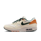 Nike Air Max 1 Baltimore Orioles City Connect