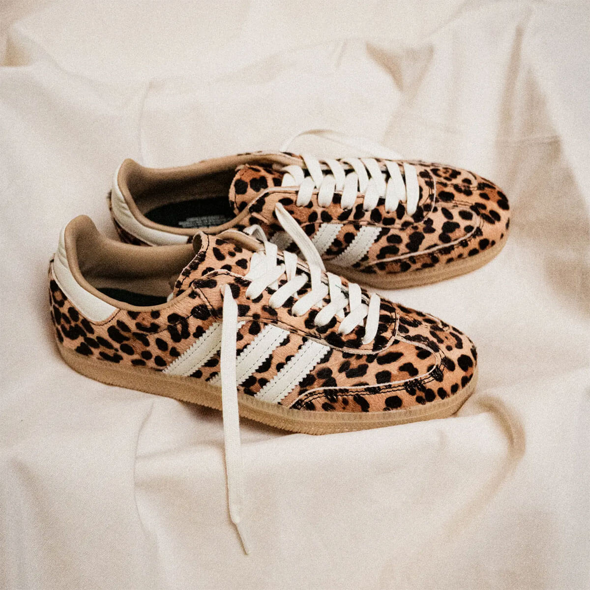 Adidas Japan Leopard Magic Beige (Women's)