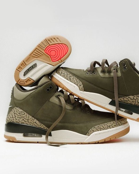 Air Jordan 3 Retro Family Affair