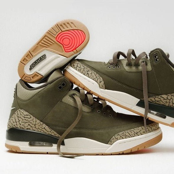 Air Jordan 3 Retro Familienangelegenheit