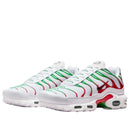 Nike Air Max Plus Italy (DM0032-108) | Snrkickz