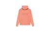 Fear of God Essentials FW22 Coral Hoodie