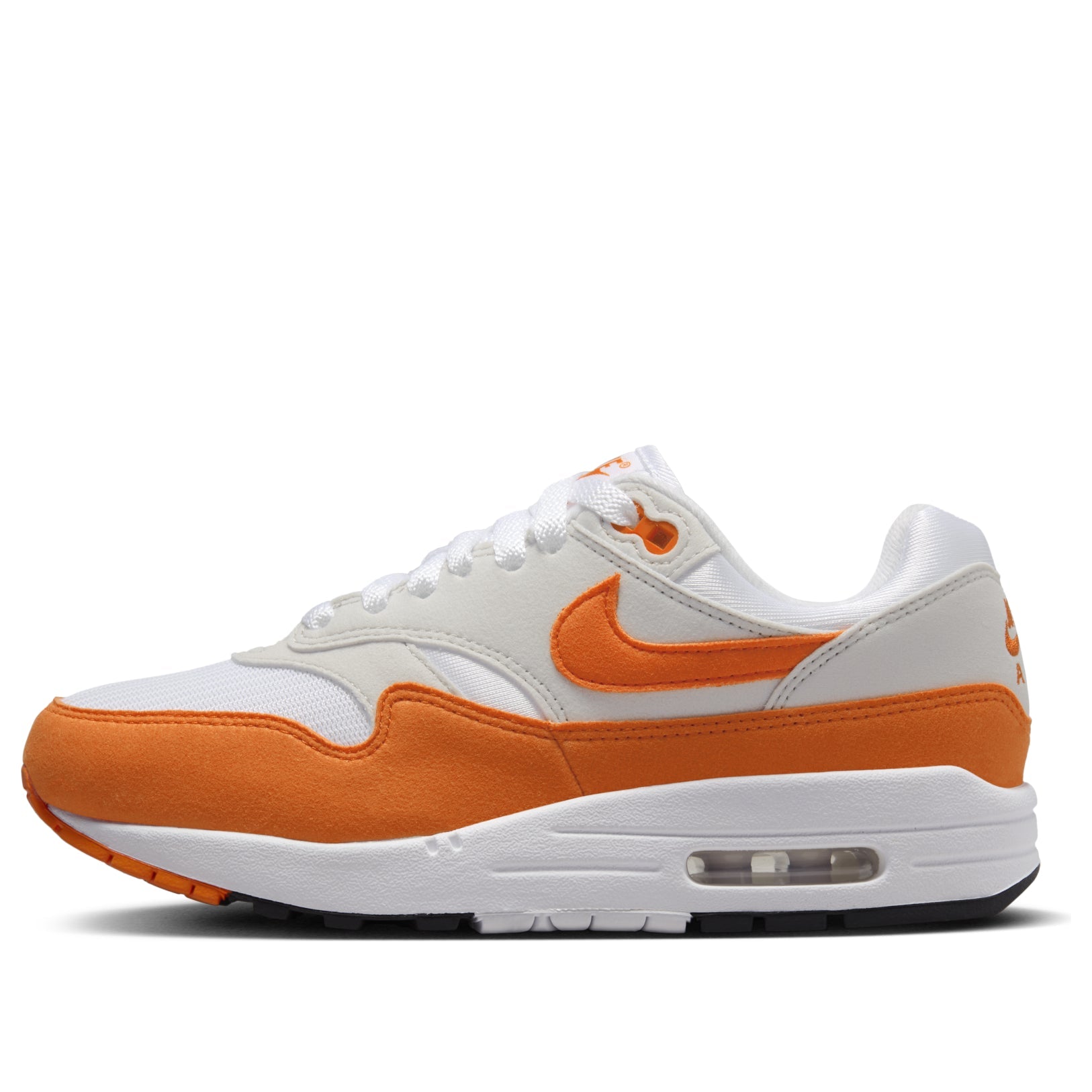 Nike Air Max 1 WMNS Dusty Cactus DZ2628-107 - pair shot | Snrkickz