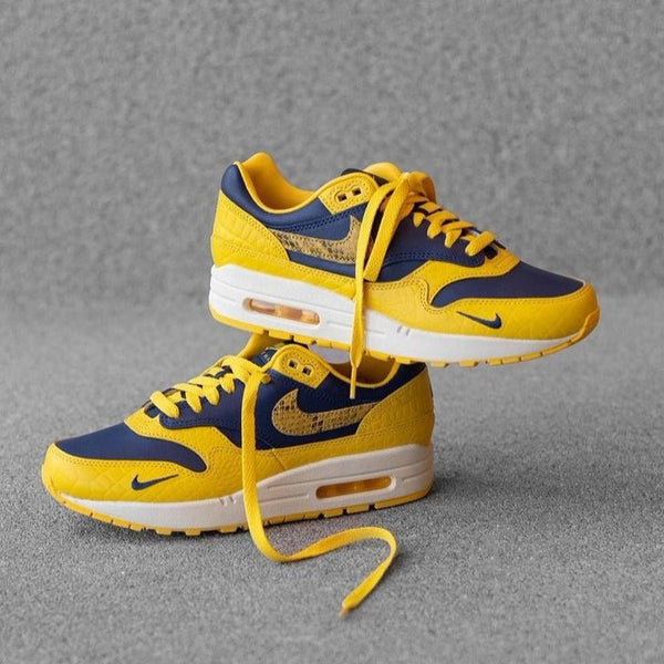 Nike Air Max 1 CO.JP Michigan Head to Head