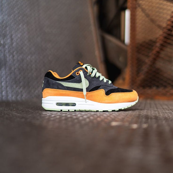 Nike Air Max 1 PRM Ente Anthrazit