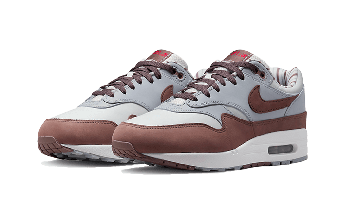 Nike Air Max 1 PRM Shima Shima