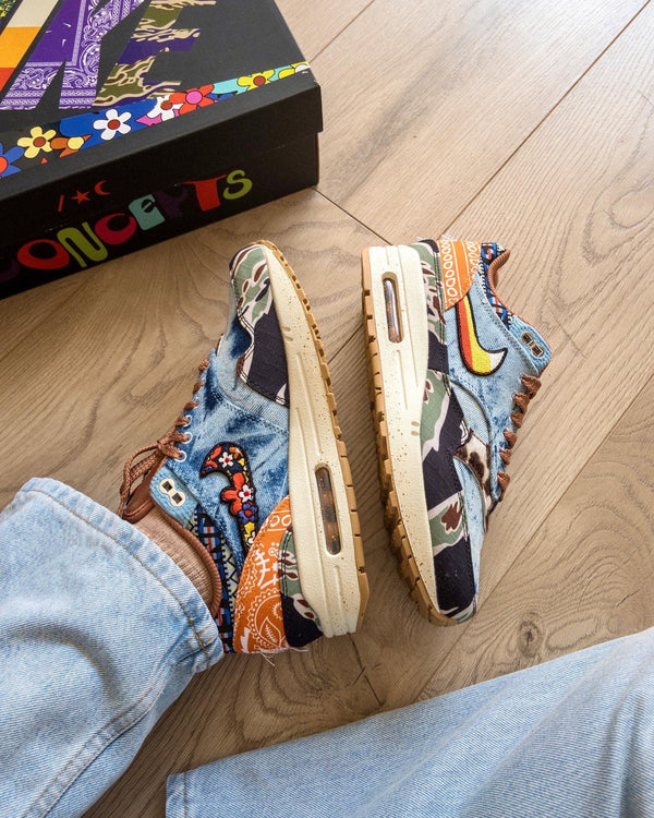 Nike Air Max 1 SP Concepts Heavy