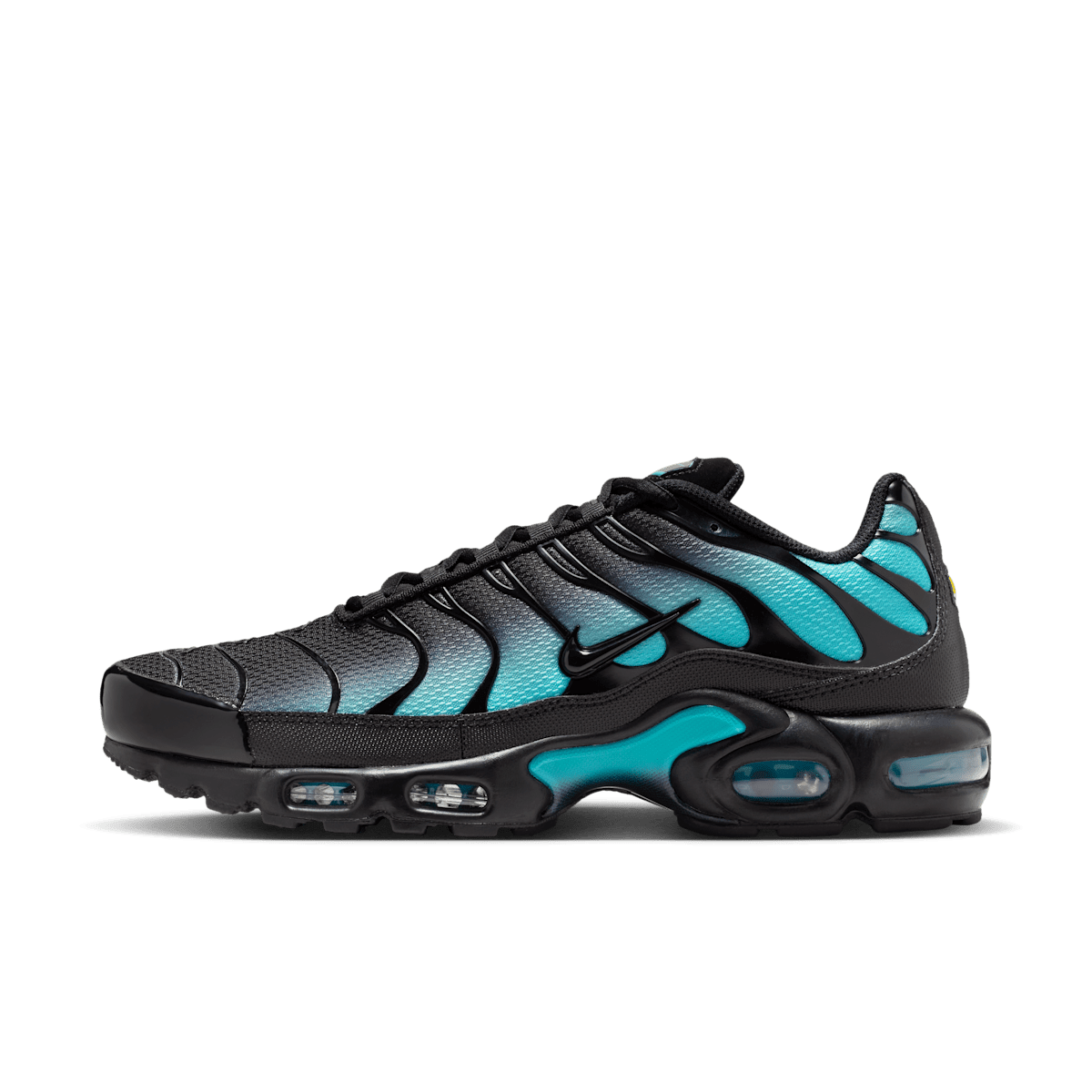 Nike Air Max Plus Black Dusty Cactus