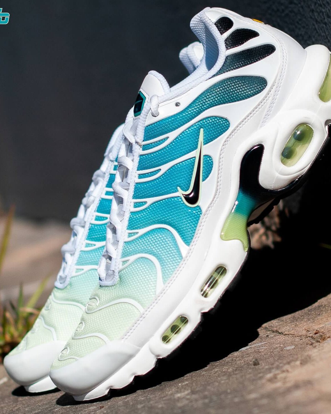 Nike Air Max Plus Dusty Cactus Barely Volt