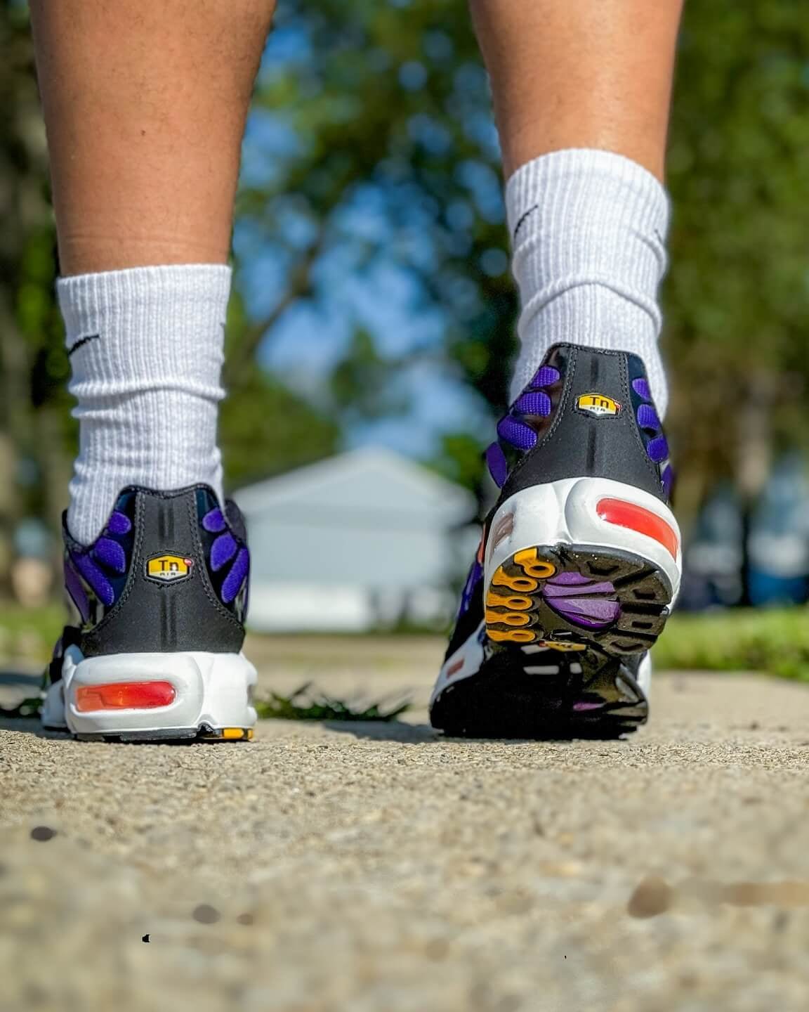 Nike Air Max Plus OG Voltage Purple (2024)