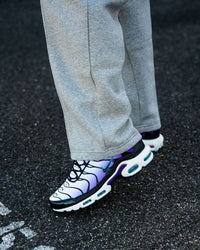 Nike Air Max Plus Reverse Grape