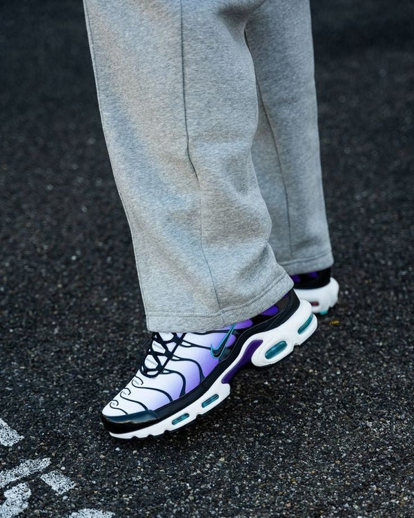 Nike Air Max Plus Reverse Traube