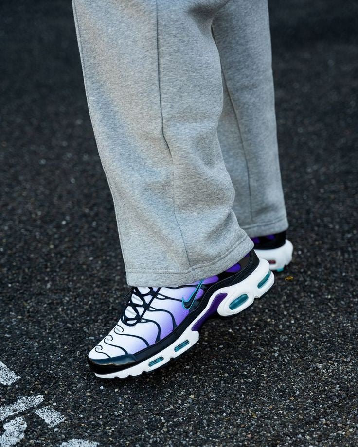 Nike Air Max Plus Reverse Grape