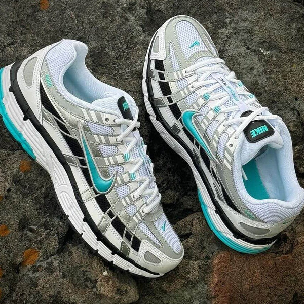 Nike P-6000 Dusty Cactus