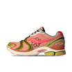 Saucony ProGrid Triumph 4 Jae Tips Flowers Grow Uptown Virginia Creeper
