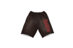 Travis Scott Cactus Jack x Sp5der Days Before Rodeo Shorts