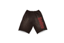 Travis Scott Cactus Jack x Sp5der Days Before Rodeo Shorts