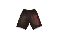 Travis Scott Cactus Jack x Sp5der Days Before Rodeo Shorts